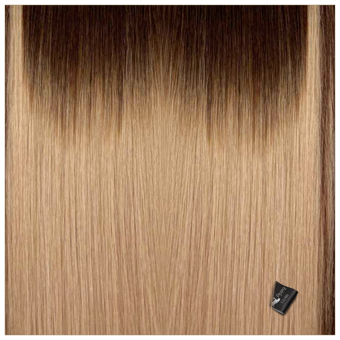 Ponytail #T2-65